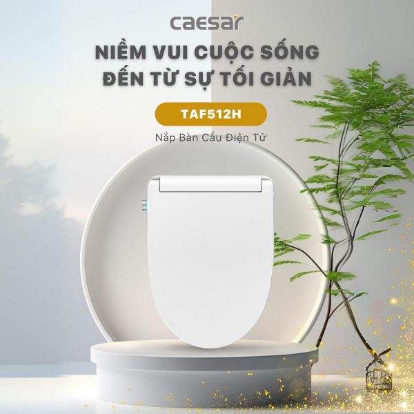 Bồn cầu 1 khối nắp điện tử Caesar C1391F/TAF512H