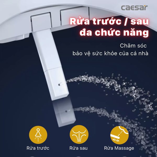 Bồn cầu 1 khối nắp điện tử Caesar C1391F/TAF710H