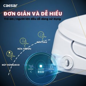 Bồn cầu 2 khối nắp điện tử Caesar CD1320/TAF710H
