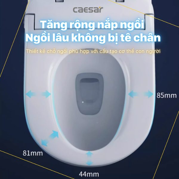 Bồn cầu 2 khối nắp điện tử Caesar CD1320/TAF710H