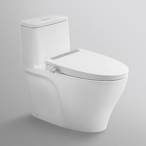 Nắp bồn cầu rửa cơ INAX CW-S32VN