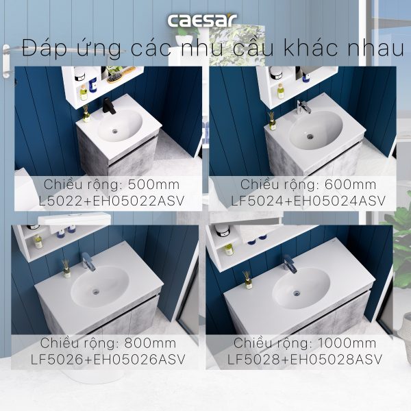 Tủ lavabo Caesar EH05022ASV