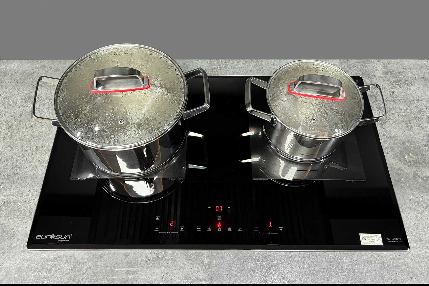 Bếp Từ EUROSUN EU-T256 Pro