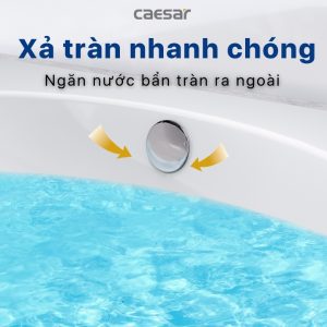 Lavabo Caesar dương bàn L5022