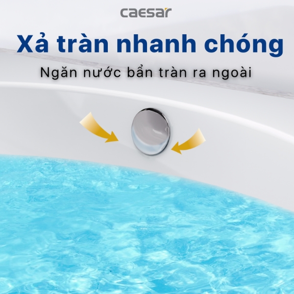 Lavabo Caesar dương bàn L5022