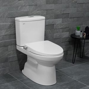 Bồn cầu 2 khối nắp rửa cơ INAX AC-514A + CW-S15VN