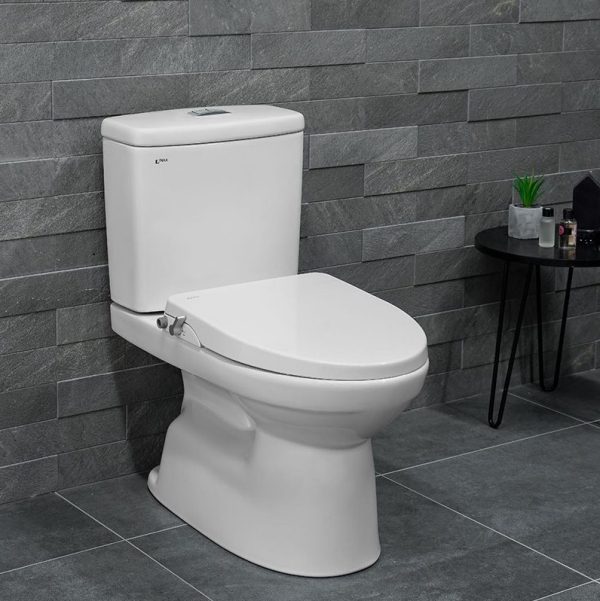 Bồn cầu 2 khối nắp rửa cơ INAX AC-514A + CW-S15VN