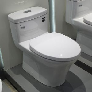 Bồn cầu 1 khối INAX AC-900R+CW-S32VN