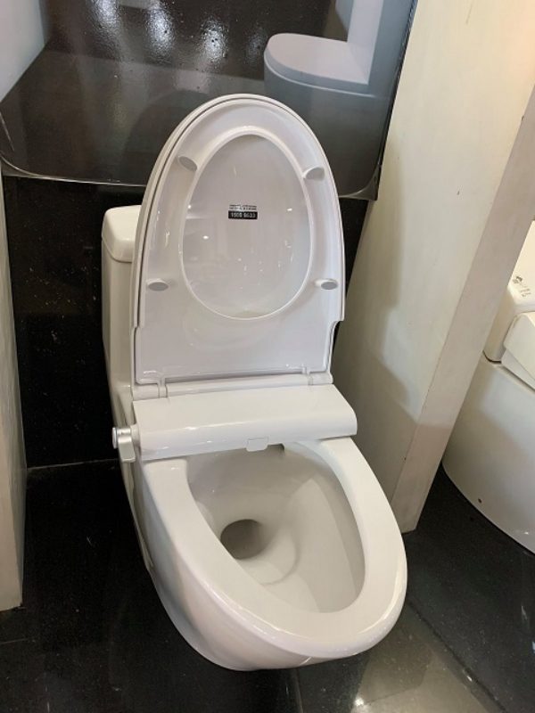 Bồn cầu 1 khối INAX AC-900R+CW-S32VN