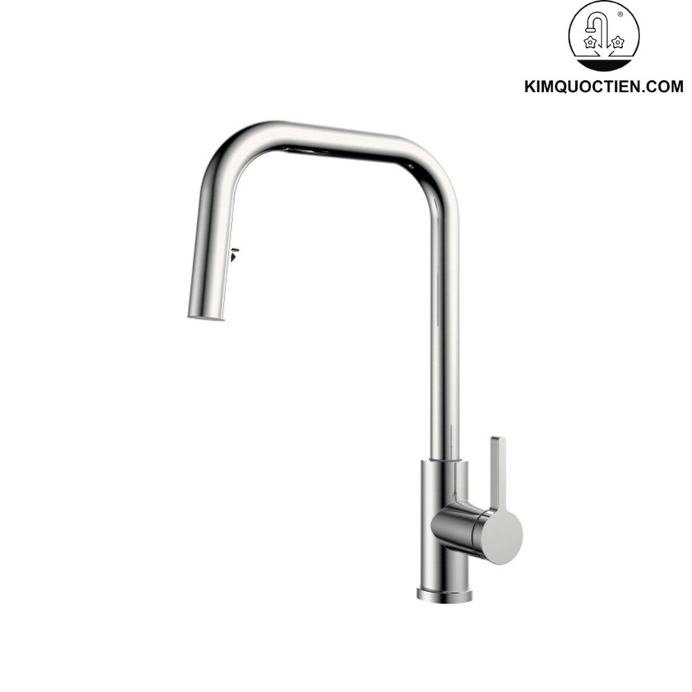 Vòi chậu bếp LEO KLUGER KLF0015C