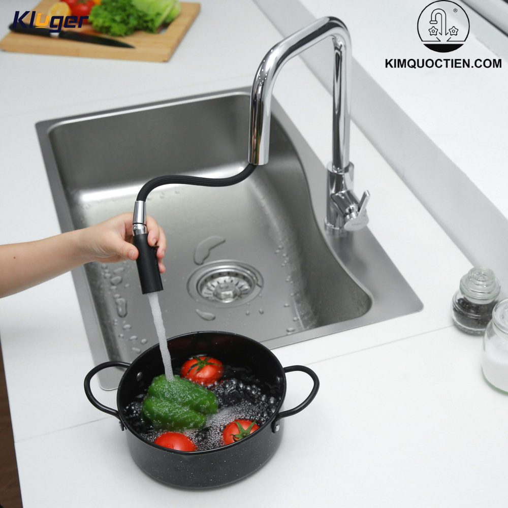 Vòi chậu bếp LEO KLUGER KLF0015C