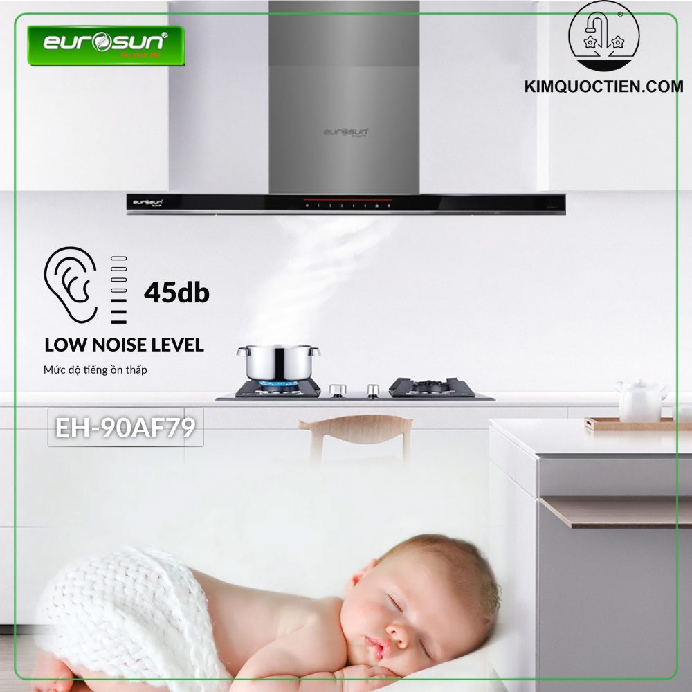 Máy hút mùi Eurosun EH-90AF79