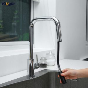 Vòi chậu bếp LEO KLUGER KLF0015C